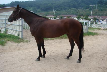 �����극�� ����