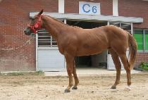 ���̺꽺Ʈ���� (DAVE��S TRAIN) ����