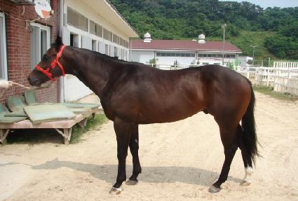 ������ȭ ����