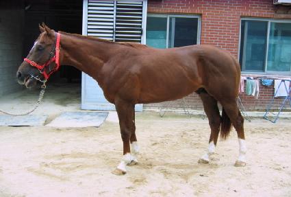 ��Ʈ��� ����