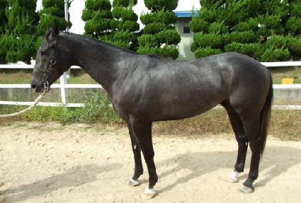 �������Ͻ� ����