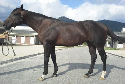 ��Ʈ�ǽ� ����