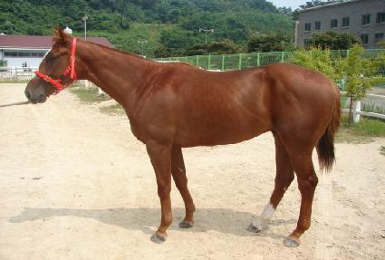 �ְ����� ����