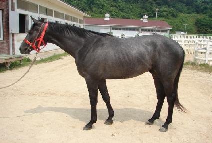 ��ȣ���� ����