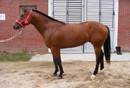 �Ƹ��帮 ����