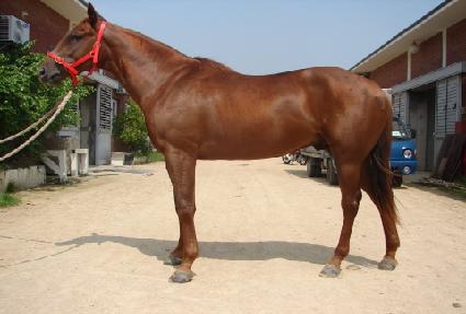 ���̺� ����