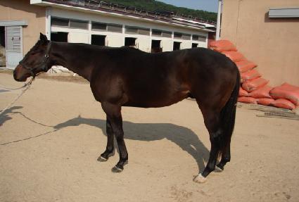 ������ŷ�� ����