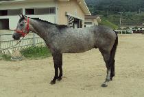 ����Ʈũ���� (SAINT CHRIS) ����