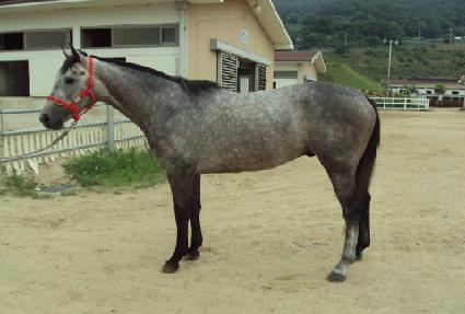 ����Ʈũ���� ����