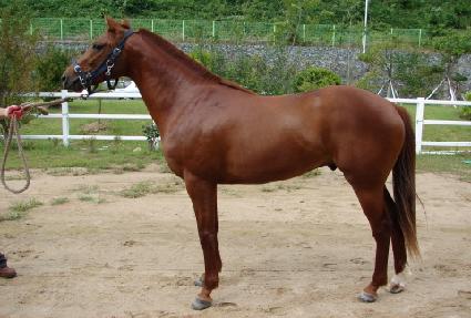 ��������ȥ ����