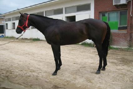 Ư�޿��̽� ����