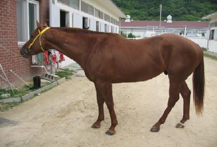 ���̳������� ����