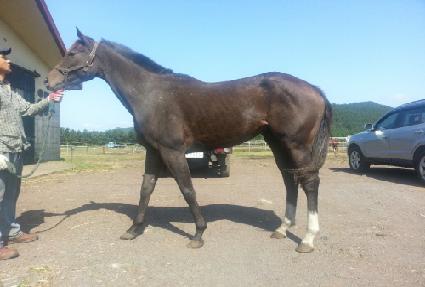 ��°�ž ����