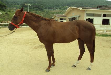 �������� ����