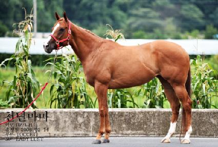 õ�⸶�� ����