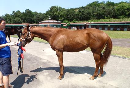 �׷���Ʈ���� ����