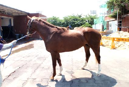 ����Ư�� ����