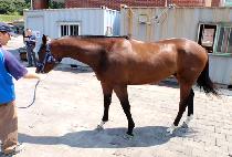 ����÷��� (HUIMANG PLUS) ����