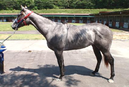 ���̵������� ����