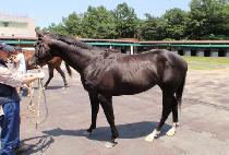 ����� (JUHEULSAN) ����