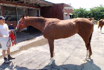 ��������̵� (VALUE PRIDE) ����