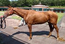 ��Ƽ���ľ� (MI TIO JUAN) ����