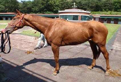 ��Ƽ���ľ� ����