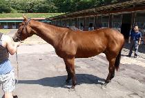 ũ�ο�ī��Ƽ (CROWE COUNTY) ����