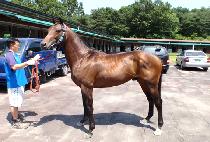 ����۽�Ʈ���� (BETHEFIRSTTOKNOW) ����