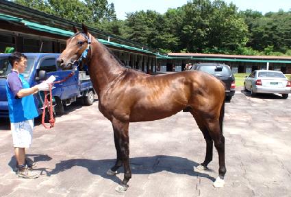 ����۽�Ʈ���� ����