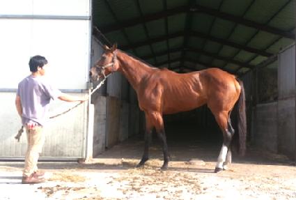 �����帶�� ����