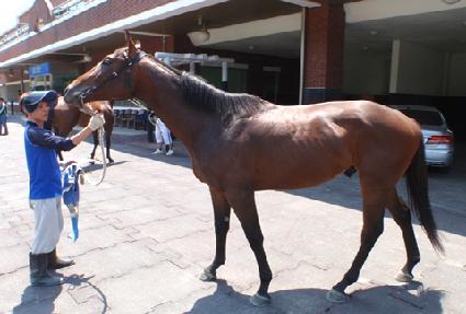 ���͵���� ����