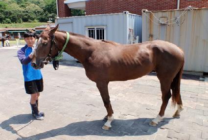 ����ȵ��� ����