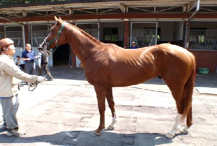 ������ ����