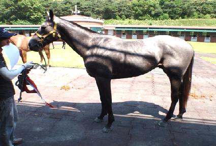 ��ε�ĳ���� ����