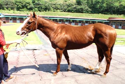 ���˵����� ����