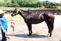 �ƿ�ķ�� (OUR CAMP) ����