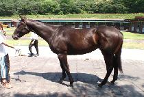 ���̿��긮�� (JOY OF LIVING) ����