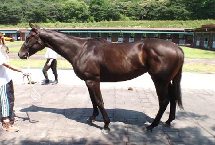 ���̿��긮�� ����