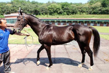 �������÷��� ����