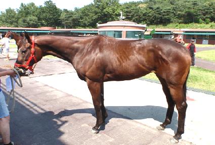 ��ŵ��Ģ ����