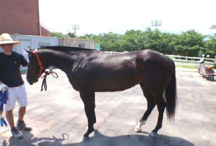 �����Ͽ÷� ����