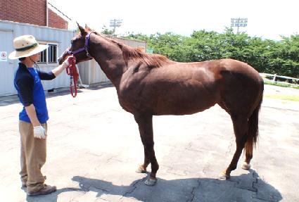 �׷��忡�̽� ����