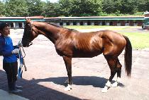 ����Ŀ� (DARING POWER) ����