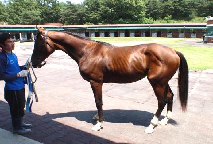 ����Ŀ� ����