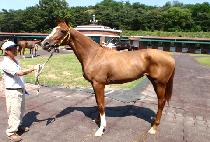 ��ü���͹̽� (MANCHESTER MISS) ����