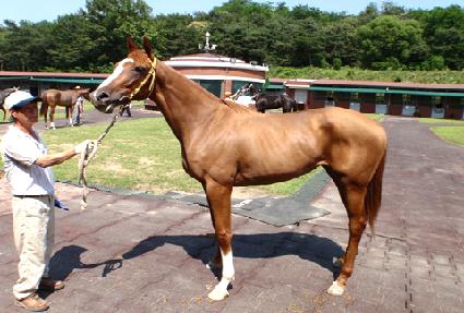 ��ü���͹̽� ����