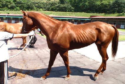 �������� ����