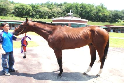 ������� ����