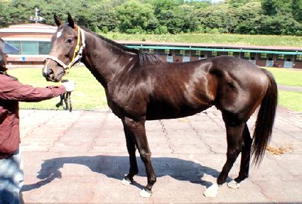 Ÿ�̰��� ����